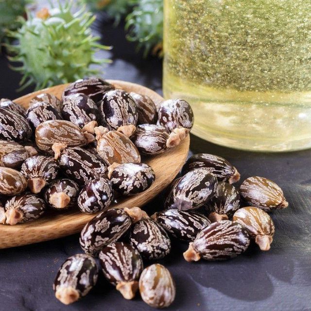 Wholesale Bulk Cosmetic Grade 100% Pure Natural Black Castor Oil Cold Pressed for Aromatherapy Aromaaz International - Image 4