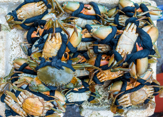 Fresh Crabs Selected Ocean Catch With High Nutritional Content And Trusted Packaging Methods For Bulk Shipments - Image 4