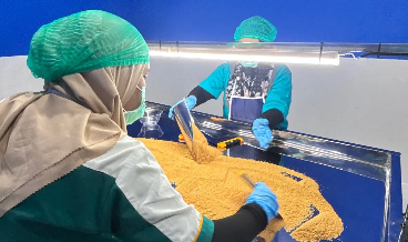 Organic Coconut Sugar - Image 3