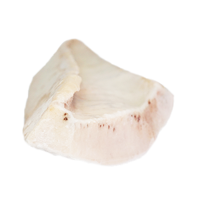 Best price for wholesales sword fish frozen cube/belly/steak from Vietnam - Image 5