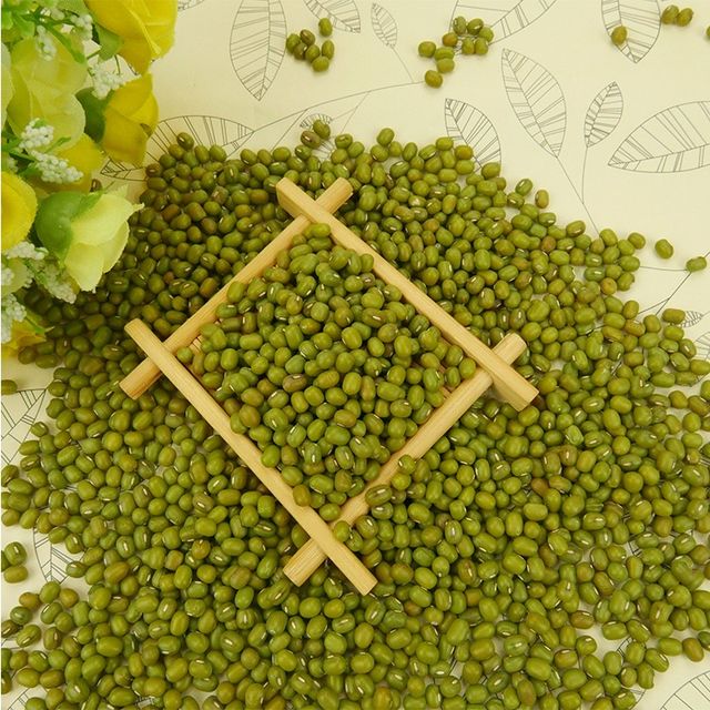 New Crop Mung Bean Seed Nice Price Green Mung Bean Vigna Beans - Image 4