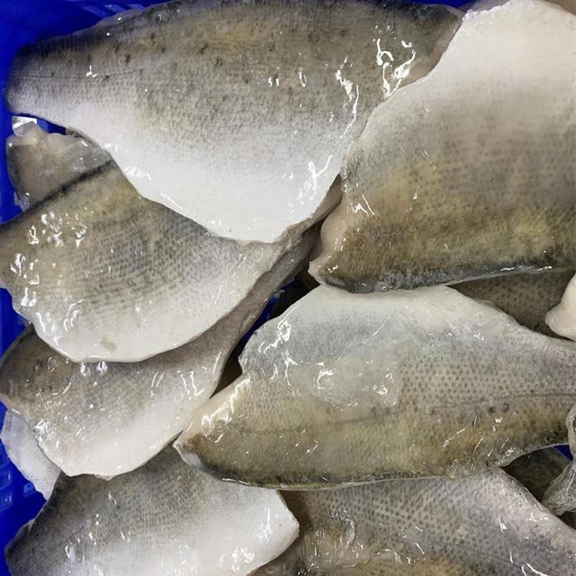 Frozen Sea Bass Fish Restaurant Choice Fillet Rich In Natural Protein Smooth Texture And Clean White Meat - Image 3