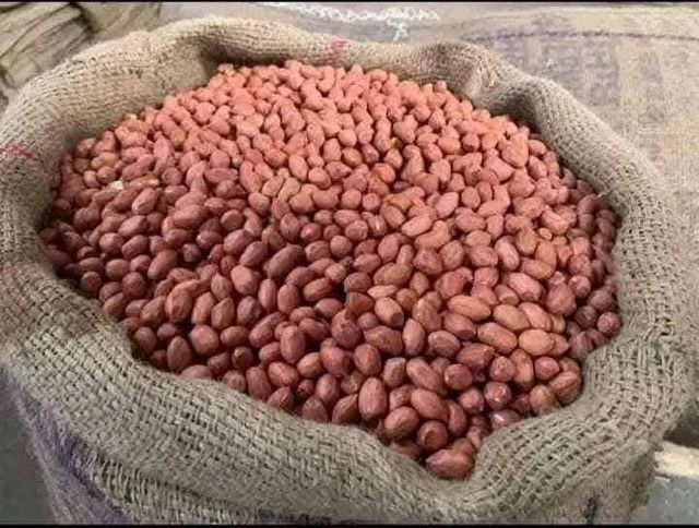 Bold Peanut Supplier Exporter India - Image 4
