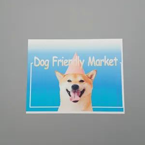 Hot Selling Rubber Fridge Magnet Origin China Model NO. fn-0001 Trademark safecare HS Code 4911910090 Specification customized - Image 6