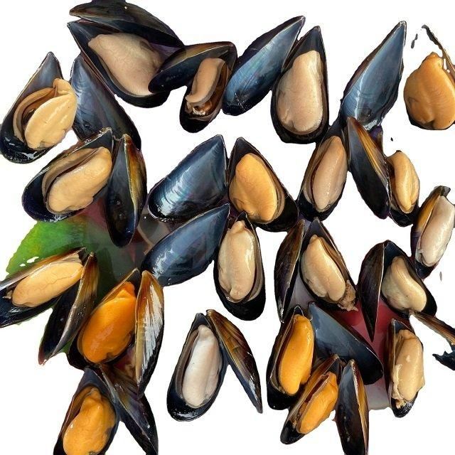 Best Price Frozen Seafood Musses With Shell / Mussels Meat Bulk Stock Available With Customized Packing - Image 4