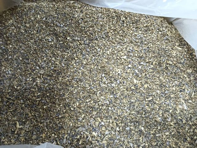 Dried Black Ginger Slices (Kaempferia Parviflora) - Premium Grade High Quality Kaempferia Parviflora Herbal Extract Wild-Cultivated Dried Black Ginger Thai Ginseng ThailandBlack ginger - Image 2