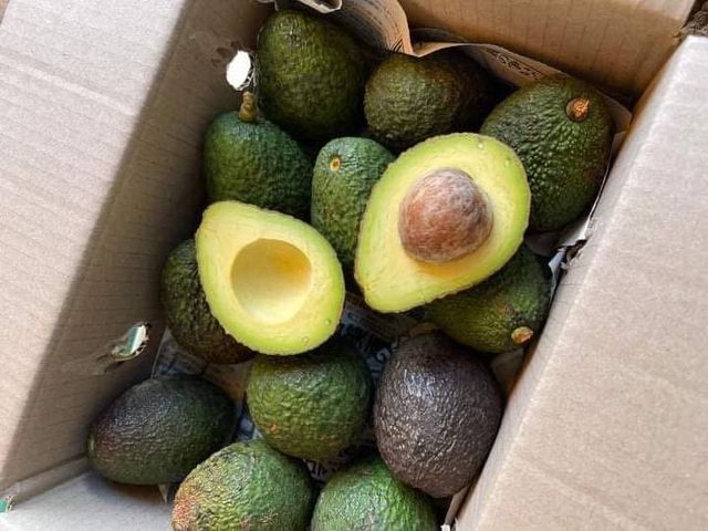 Fresh Premium Organic Avocados - Image 3