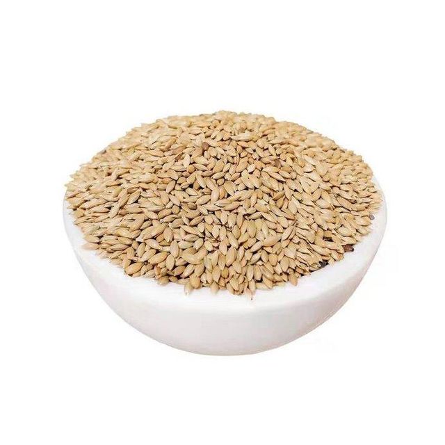 Pure canary seeds bulk wholesale available at affordable prices - Image 3