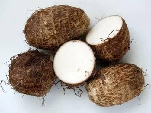 Premium Fresh Taro Root | Bulk Supply of High-Quality Edible Taro for Food Processing and Export Whatsap +255787979235 - Image 4