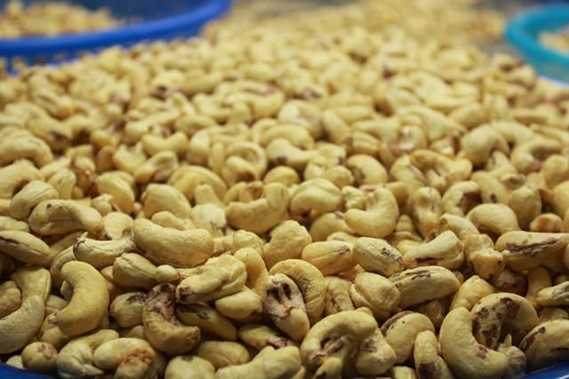 Vietnamse Cashew Nuts W320 W240 and other types Exporter Fresh Cashew Nuts From Vietnam packaged cashew nuts - Image 5