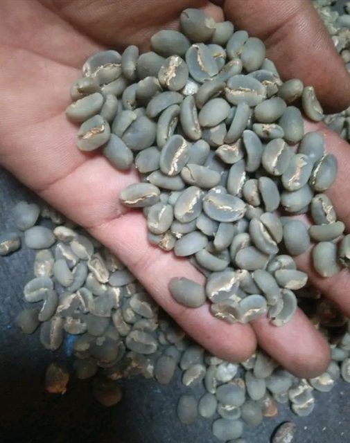 coffee arabica – product photo 1, product detail gallery