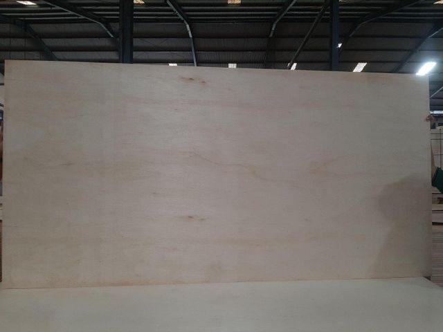 Plywood - Image 4