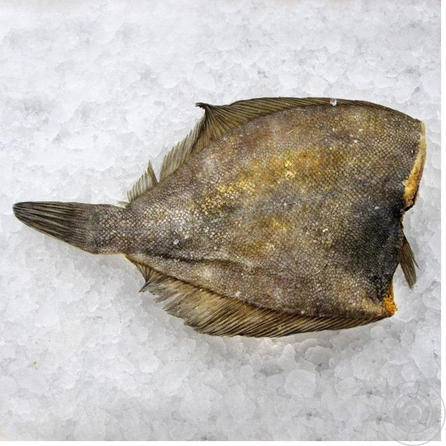 Premium IQF Frozen Plaice Fish Whole Fillet Flatfish for Retail Foodservice and Export - Image 4