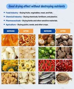 High Efficiency Fruit and Vegetable Dryer Machine Food Grade Stainless Steel for Food Processing Machine - Image 2