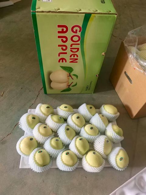 Fresh Golden Delicious Apples for Global Wholesale Markets - Image 1