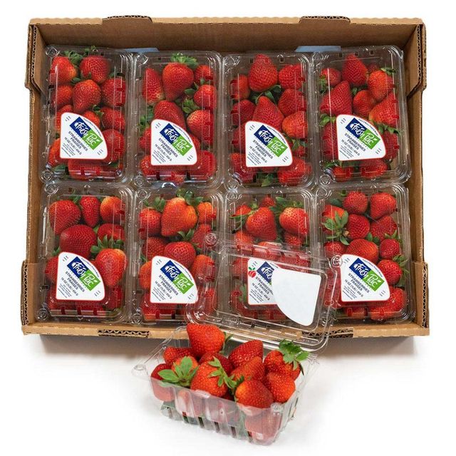 Fresh Strawberry 🍓 Fiber 2-3% Size Medium Sugar 5-10% Origin Global Moisture 90-95% Acidity 0.5-1.5% Vitamin C Rich - Image 3