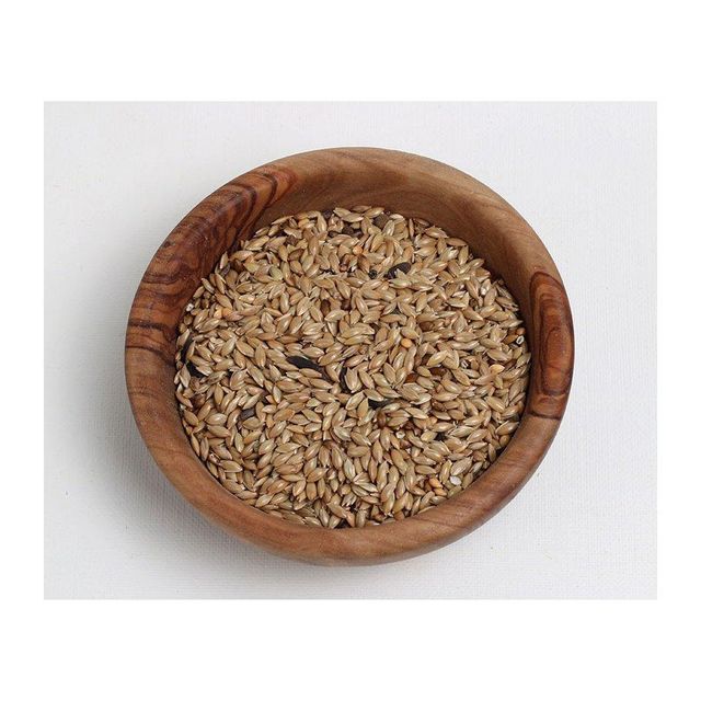 Pure canary seeds bulk wholesale available at affordable prices - Image 2