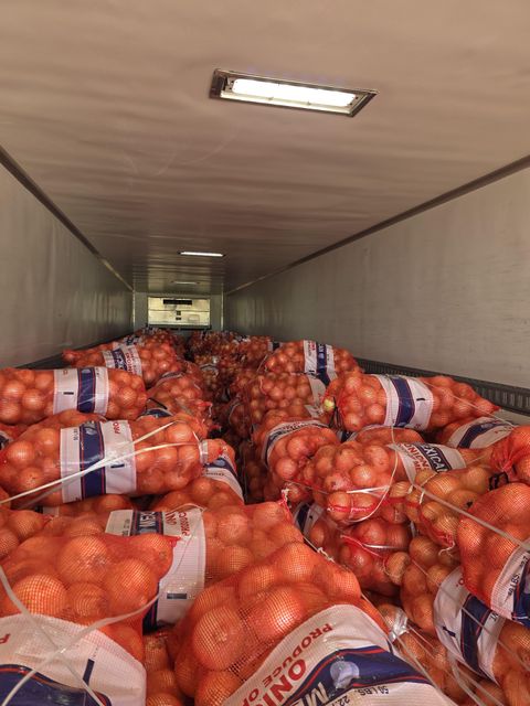 Onion - Image 1