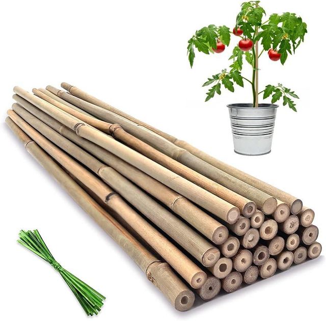 Premium Quality Eco-Friendly Bamboo Raw Materials Free Tax Directly from Viet Nam - Image 6