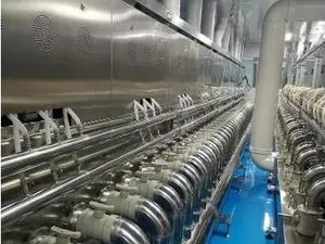 Customized Nuts Chemical Processing Drying Oven Machine Equipment - Image 6