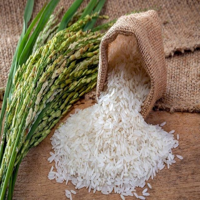 All Types Long Grain Basmati Jasmine Rice 5% Broken Premium Storage for Sale - Image 4