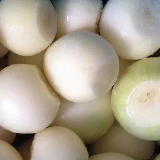 Best Selling Freshness Frozen Onion Dice - Image 2