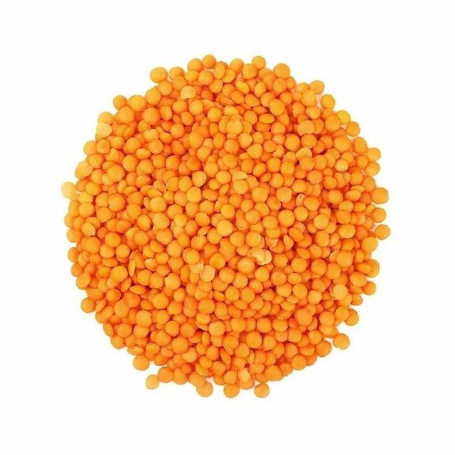 Manufacture Unpolished Whole Red Lentils Farm Fresh Masoor Dal for Healthy Cooking Available at Factory Price - Image 3