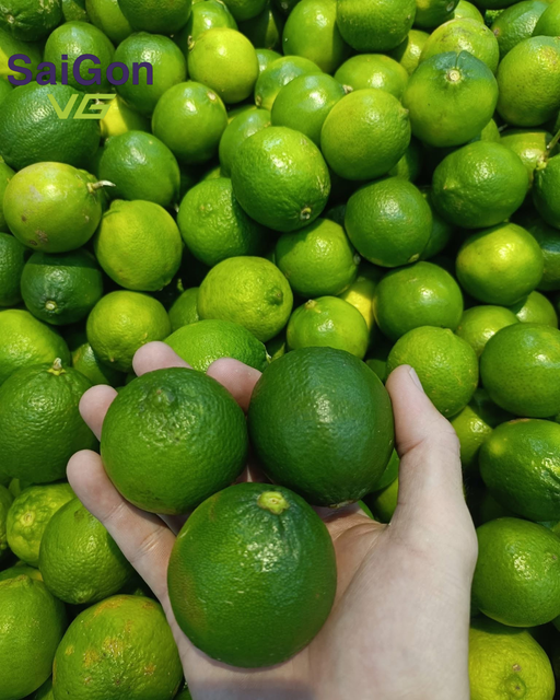Vietnam Seedless Lime – Fresh Export Quality | Bulk Supplier – product photo 3, product detail gallery