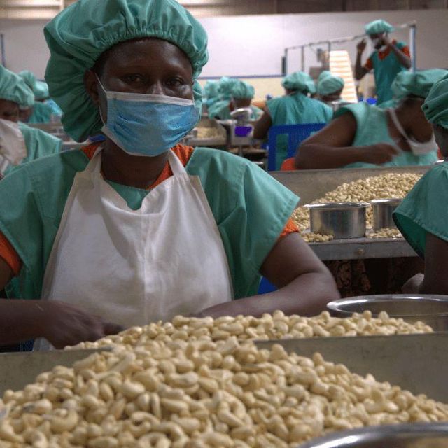 2026 Wholesale Cashew Nuts: Best Snack Manufacturers Supply Mixed Dried Varieties - Image 4