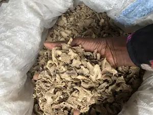 Dried Split Ginger Grade A Drying Process Sundried Flavor Profile Warm And Spicy Harvest Period 8 To 10 Months Drying Method Sun-dried Or Mechanically Dried - Image 4