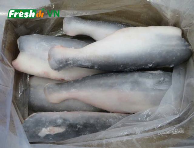 Pangasius HGT - Image 3