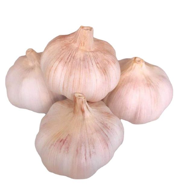Premium Fresh Garlic Bulbs With Strong Aroma And High Purity For Global Wholesale Supply - Image 4