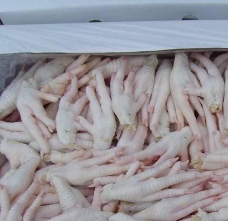 CHICKEN PAWS - Image 3