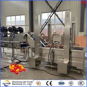 Fruit and Vegetable Processing Fresh Tomato Bubble Cleaning Washing Machine - Image 6