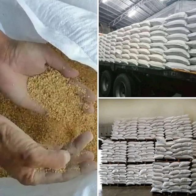 Animal Feed Soybeans frozenchickenexports.com - Image 3