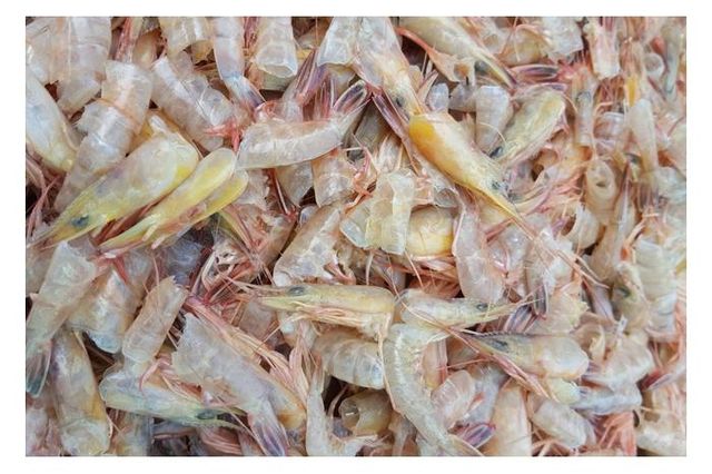 Shrimp Shell Impurities ≤ 2% Fat Content ≤ 5% Salt Content ≤ 3% Ash Content 20 – 35% Moisture Content ≤ 10% Chitin Content 15 – - Image 1