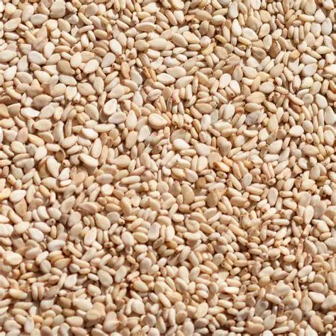 Sesame, Black Sesame, Food PNG Transparent Image and Clipart for Free - Image 3