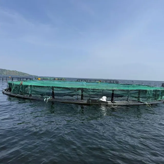 floating fsih cage - Image 3