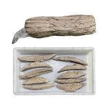 Skipjack Tuna Loin Flakes Surimi Frozen Precooked Fish Canning 3kg EU Certified Frozen - Image 1