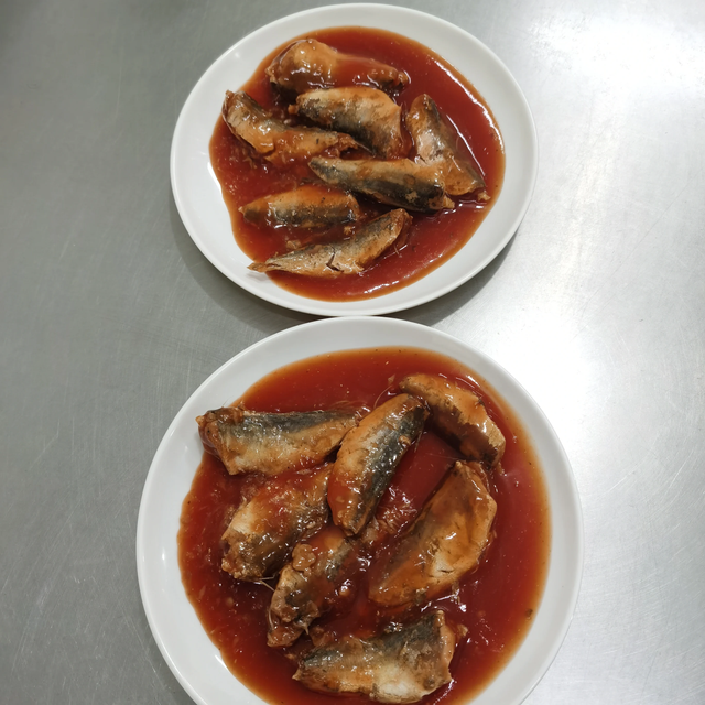 Ready-to-Eat Sardine Fish in Tomato Sauce – Wholesale Supply worldwide delivery - Image 5
