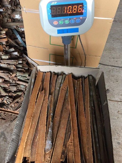 VIETNAM PREMIUM SPLIT CASSIA – Natural Dried Cinnamon Bark Sticks 20-45cm for Spice Processing & Bulk Culinary Use - Image 5