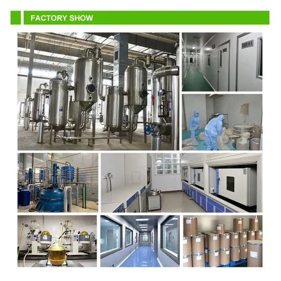 Comext Pure Coconut Milk Powder Fine Grade Instant Coconut Powder Coconut Fruit Powder - Image 6