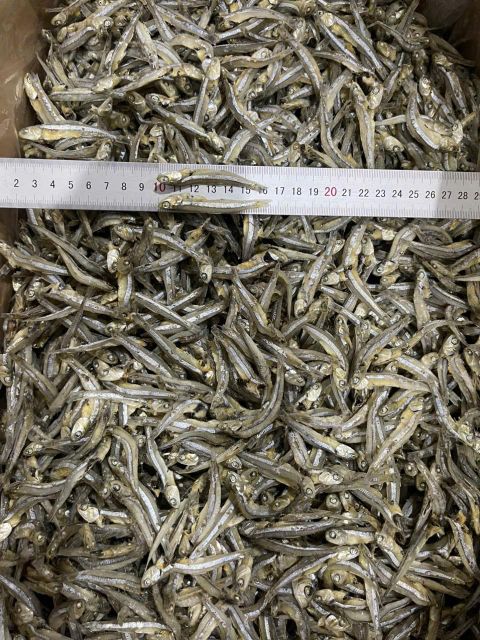 Dried Anchovy - Stolephorus commersonnii - Well - Qualified Origin Vietnam Impurities 3% Max Color Natural Color Shelf Life 12 Months - Image 4
