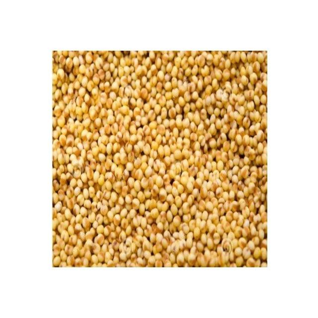 Bulk yellow millet available for wholesale purchase by food and feed manufacturers - Image 3