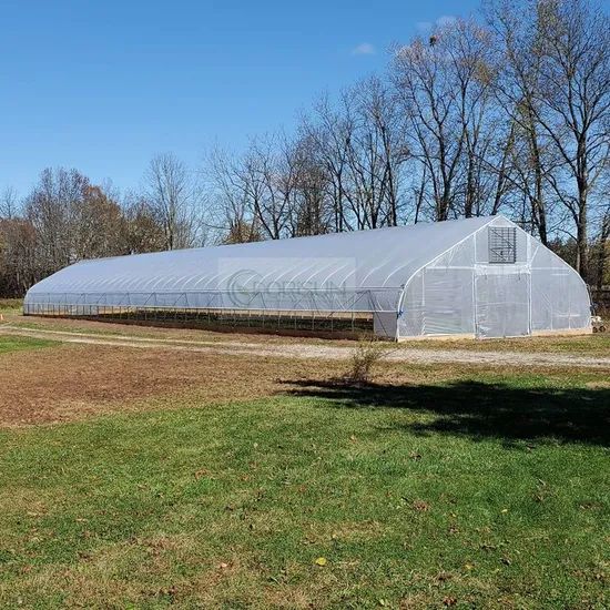Plastic Single Span Temperature Control Grow Greenhouses Size Large Width 6-10m Span Single Layer Double Length 20-200m Location - Image 6