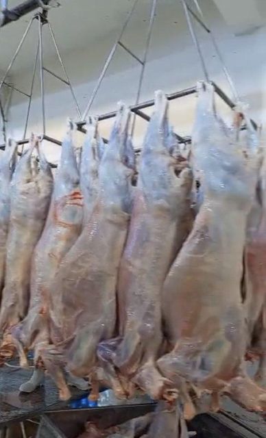 Lamb and beef from Kenya - Image 3