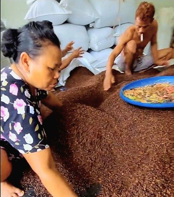 Dried Cloves (Hand-Selected Indonesian Cloves) - Image 3