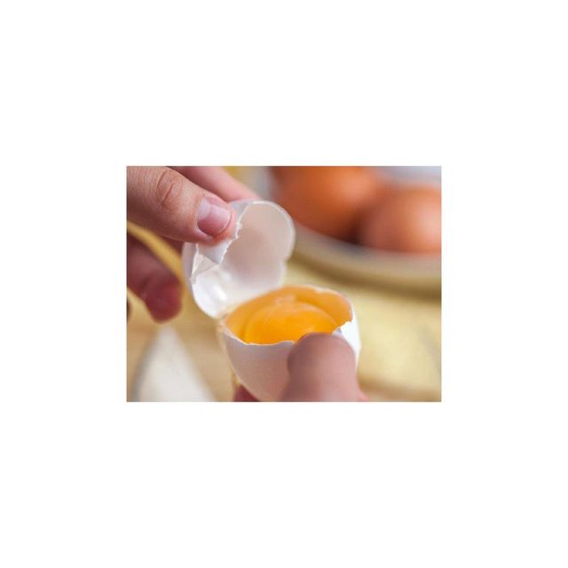 Hot Selling Price Egg Yolk Powder in Bulk Grade A Shape Powder Type Egg yolk powder Form Dehydrated Powder Processing Hot Selling Price Egg Yolk Powder in Bulk Grade A Shape Powder Type Egg yolk powder Form Dehydrated Powder Processing Hot Selling Price Egg Yolk Powder in Bulk Grade A Shape Powder Type Egg yolk powder Form Dehydrated Powder Processing - Image 1