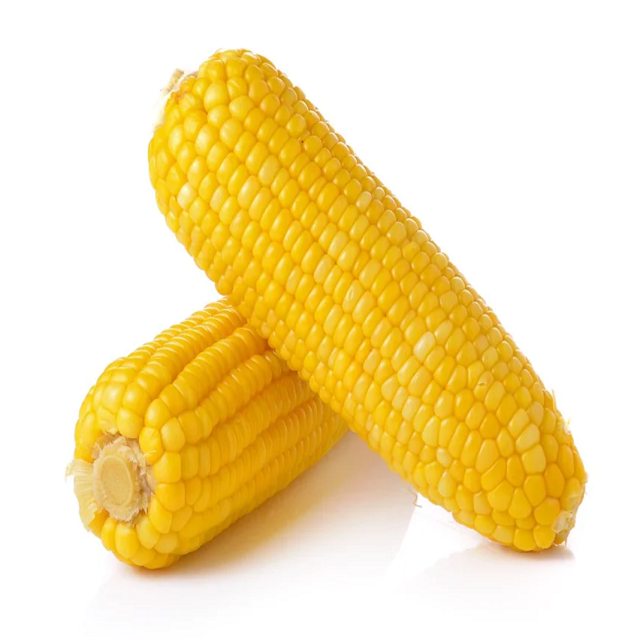 Export Yellow Corn Maize 50kg Strong Packaging Clean Grain High Purity Yellow Kernels Suitable For International Trade Feed Industry And Bulk Supply Buy Now Fast Delivery Premium Quality Wholesale - Image 3