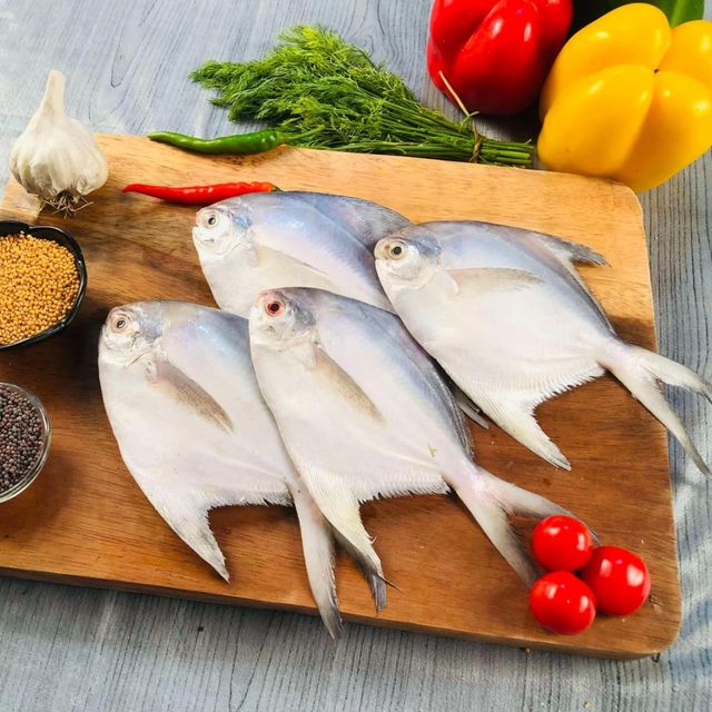 Frozen Silver Pomfret Fish Premium Size Selection For Seafood Importers Food Service Providers And Market Suppliers - Image 2